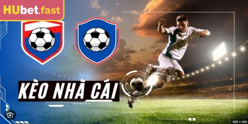 Tổng hợp các loại kèo phổ biến tại nền tảng